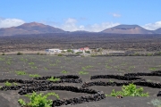 Weinanbaugebiet La Geria Lanzarote