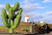 Jardin de Cactus - Kaktusgarten